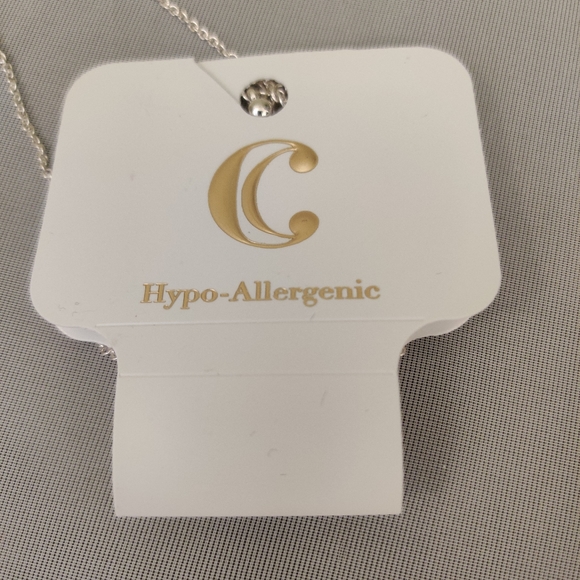 🌹4 items/$20 NWT Charming Charlie NWT necklace - Picture 4 of 7